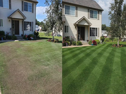🌱 Stop Waiting Months for a Lawn！ Grow Lush Grass in Just 7 Days🔜Hydro Seeding Lawn Solution🚫 —Create Your Perfect Lawn, Starting Here!